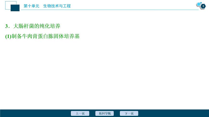 (新高考)高考生物一輪復(fù)習(xí)講義課件第33講發(fā)酵工程 (含解析)第6頁(yè)