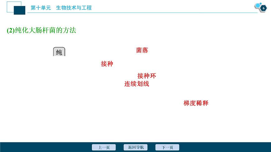 (新高考)高考生物一輪復(fù)習(xí)講義課件第33講發(fā)酵工程 (含解析)第7頁(yè)