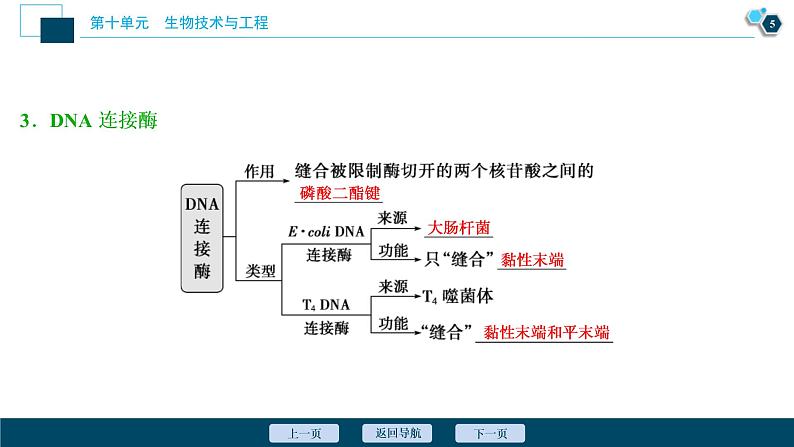 (新高考)高考生物一轮复习讲义课件第34讲基因工程 (含解析)第6页