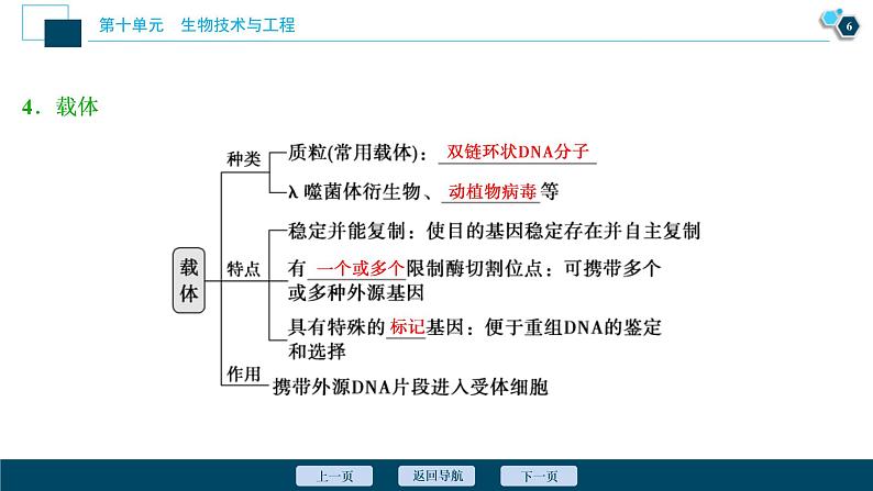 (新高考)高考生物一轮复习讲义课件第34讲基因工程 (含解析)第7页