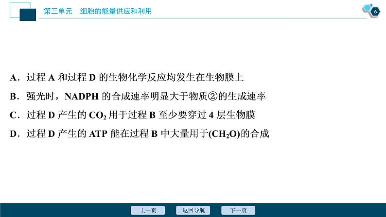 (新高考)高考生物一轮复习讲义课件加强提升课(1)光合作用与细胞呼吸综合应用 (含解析)第7页