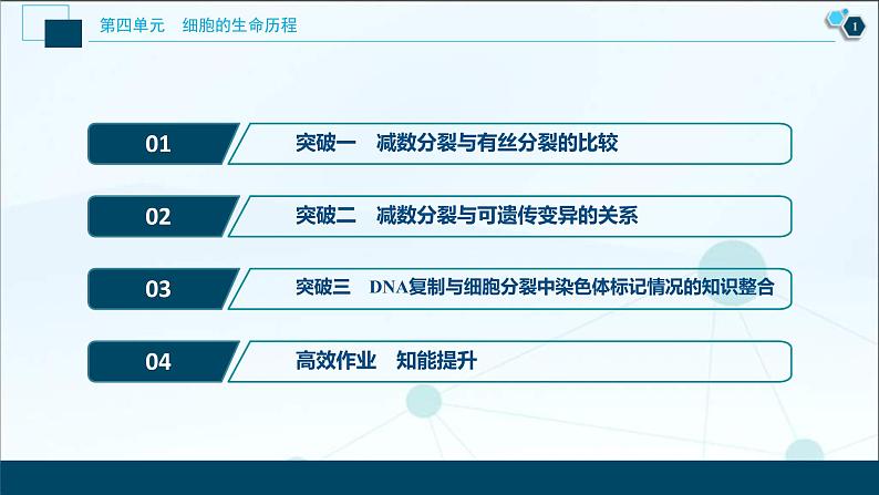 (新高考)高考生物一轮复习讲义课件加强提升课(3)减数分裂与有丝分裂、可遗传变异、DNA复制的关系 (含解析)第2页