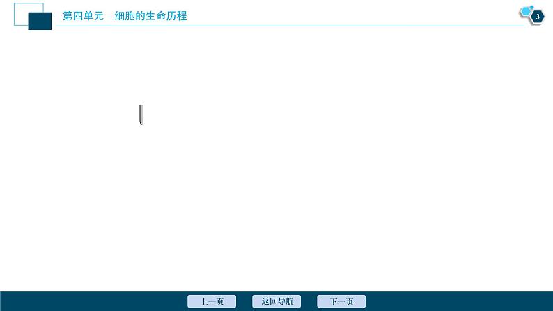 (新高考)高考生物一轮复习讲义课件加强提升课(3)减数分裂与有丝分裂、可遗传变异、DNA复制的关系 (含解析)第4页