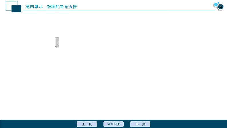 (新高考)高考生物一轮复习讲义课件加强提升课(3)减数分裂与有丝分裂、可遗传变异、DNA复制的关系 (含解析)第5页