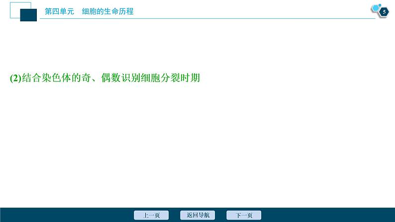 (新高考)高考生物一轮复习讲义课件加强提升课(3)减数分裂与有丝分裂、可遗传变异、DNA复制的关系 (含解析)第6页
