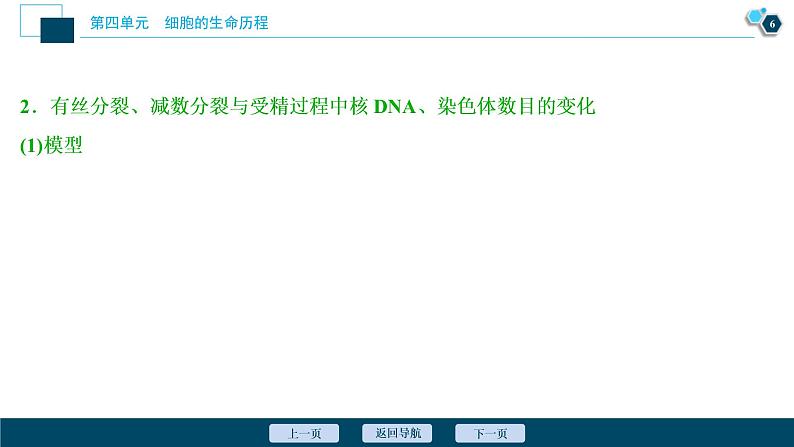 (新高考)高考生物一轮复习讲义课件加强提升课(3)减数分裂与有丝分裂、可遗传变异、DNA复制的关系 (含解析)第7页