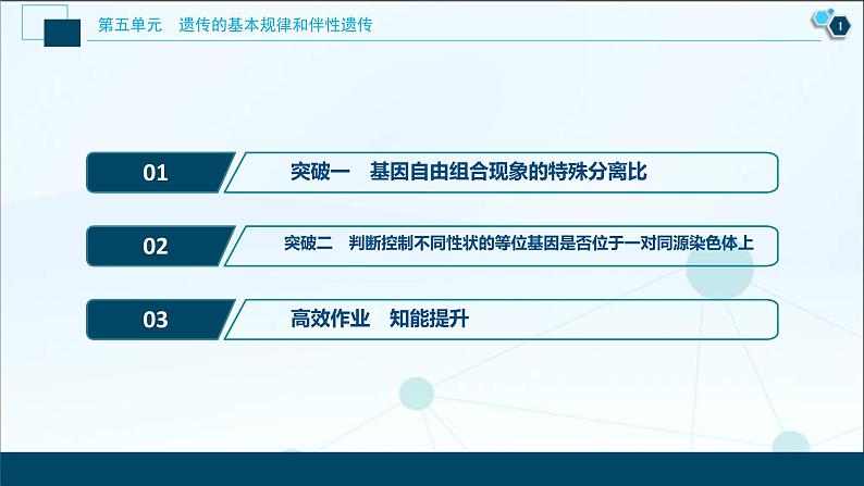 (新高考)高考生物一轮复习讲义课件加强提升课(4)基因自由组合定律的拓展题型突破 (含解析)第2页
