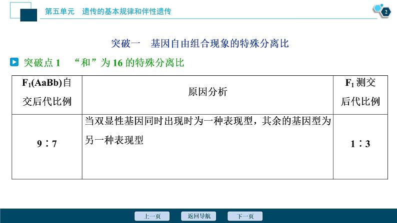 (新高考)高考生物一轮复习讲义课件加强提升课(4)基因自由组合定律的拓展题型突破 (含解析)第3页