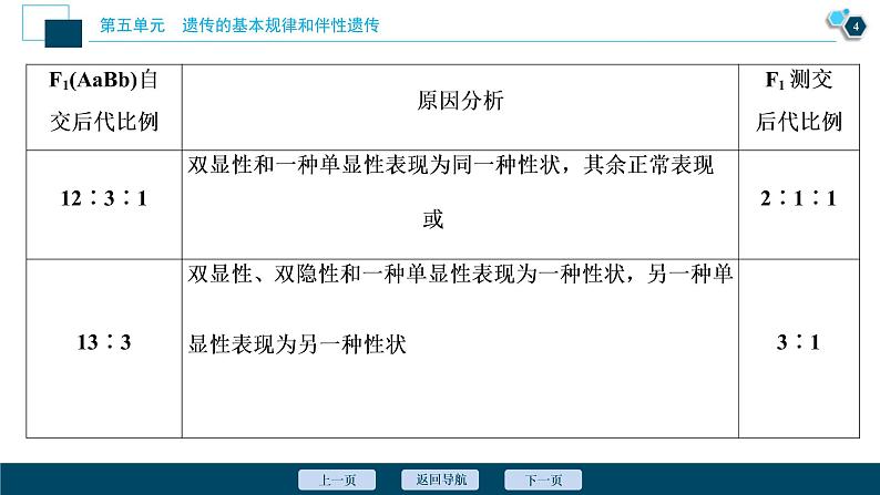 (新高考)高考生物一轮复习讲义课件加强提升课(4)基因自由组合定律的拓展题型突破 (含解析)第5页