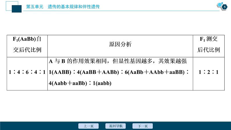 (新高考)高考生物一轮复习讲义课件加强提升课(4)基因自由组合定律的拓展题型突破 (含解析)第6页