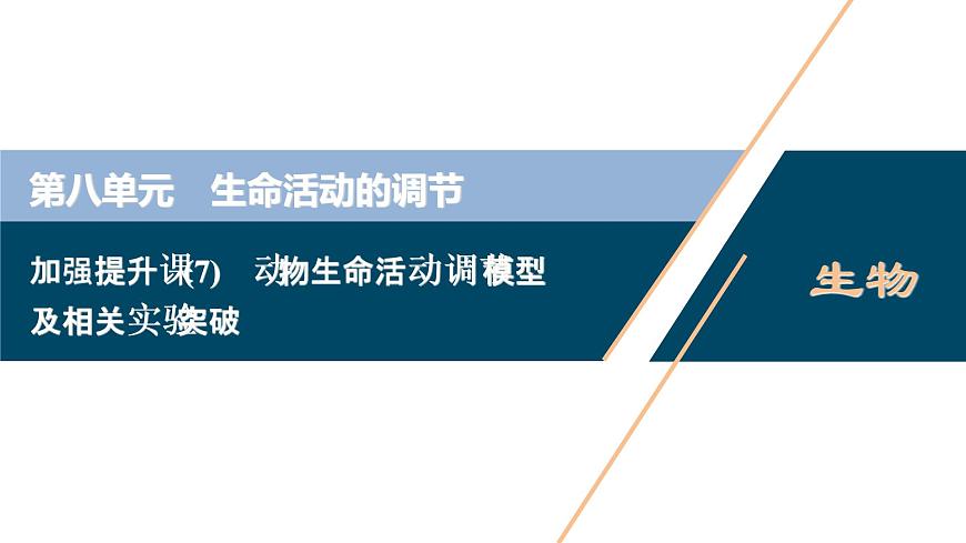 (新高考)高考生物一輪復習講義課件加強提升課(7)動物生命活動調節(jié)模型及相關實驗突破 (含解析)第1頁