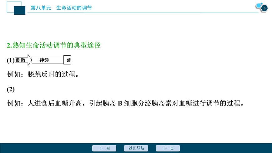 (新高考)高考生物一輪復習講義課件加強提升課(7)動物生命活動調節(jié)模型及相關實驗突破 (含解析)第4頁
