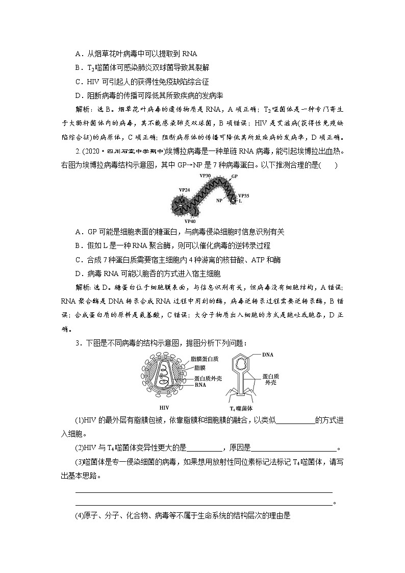 (新高考)高考生物一轮复习学案第3讲多种多样的细胞(含解析)第2页