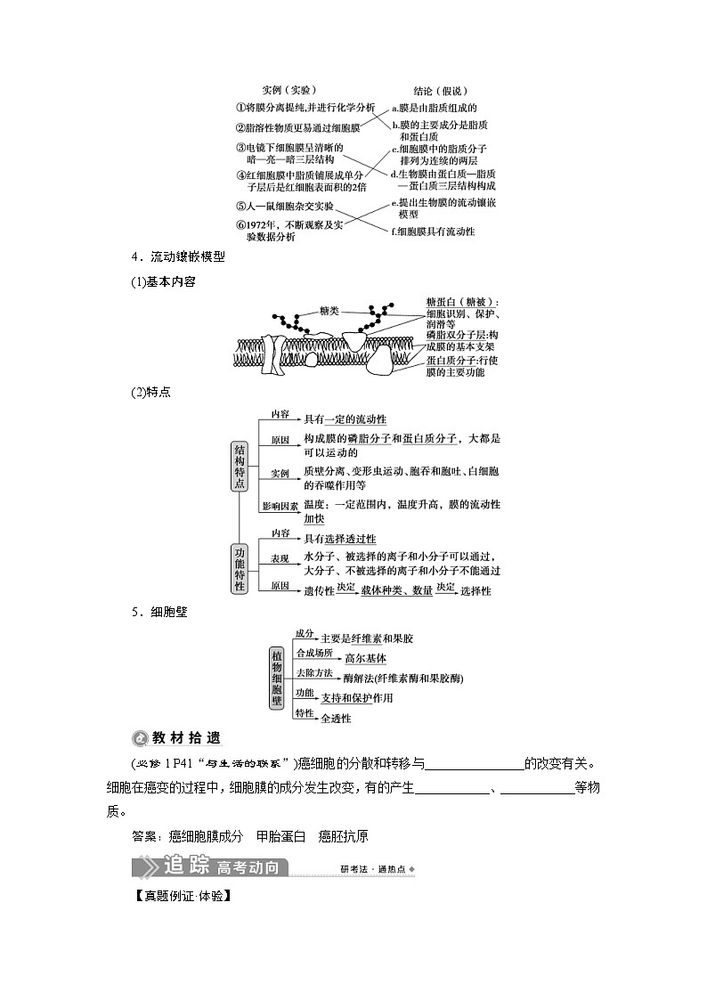 (新高考)高考生物一轮复习学案第4讲细胞膜和细胞核(含解析)第2页