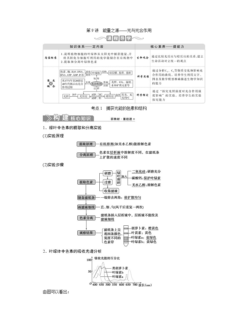 (新高考)高考生物一轮复习学案第9讲能量之源——光与光合作用(含解析)01