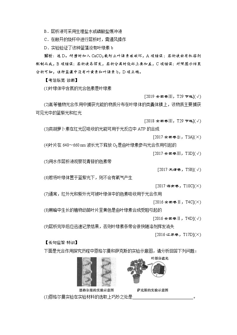 (新高考)高考生物一轮复习学案第9讲能量之源——光与光合作用(含解析)03