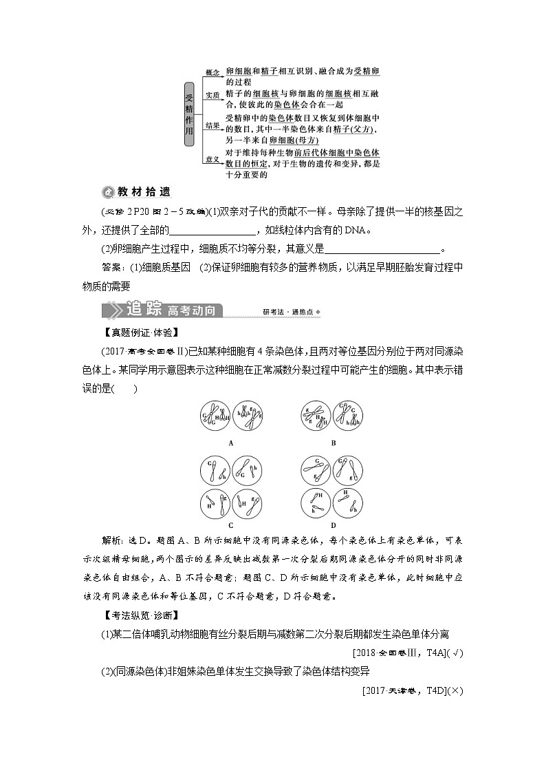 (新高考)高考生物一轮复习学案第11讲减数分裂及受精作用(含解析)03