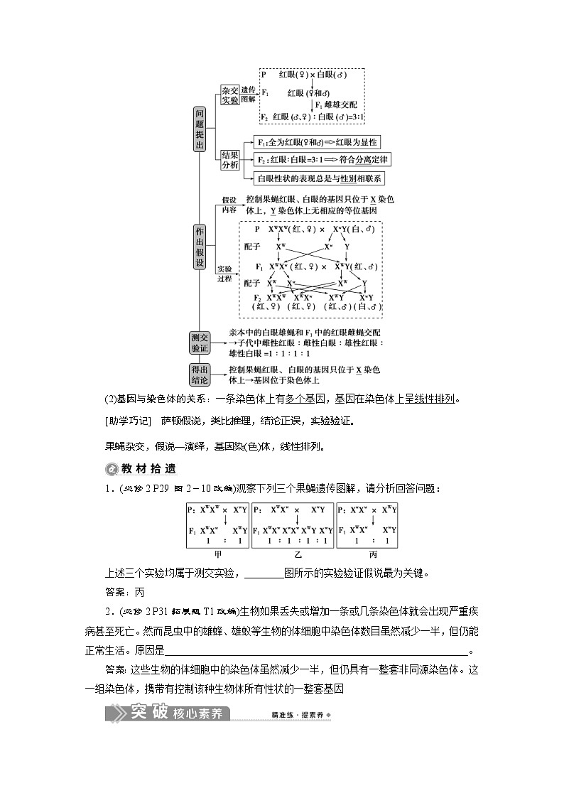 (新高考)高考生物一轮复习学案第15讲基因在染色体上伴性遗传 (含解析)02