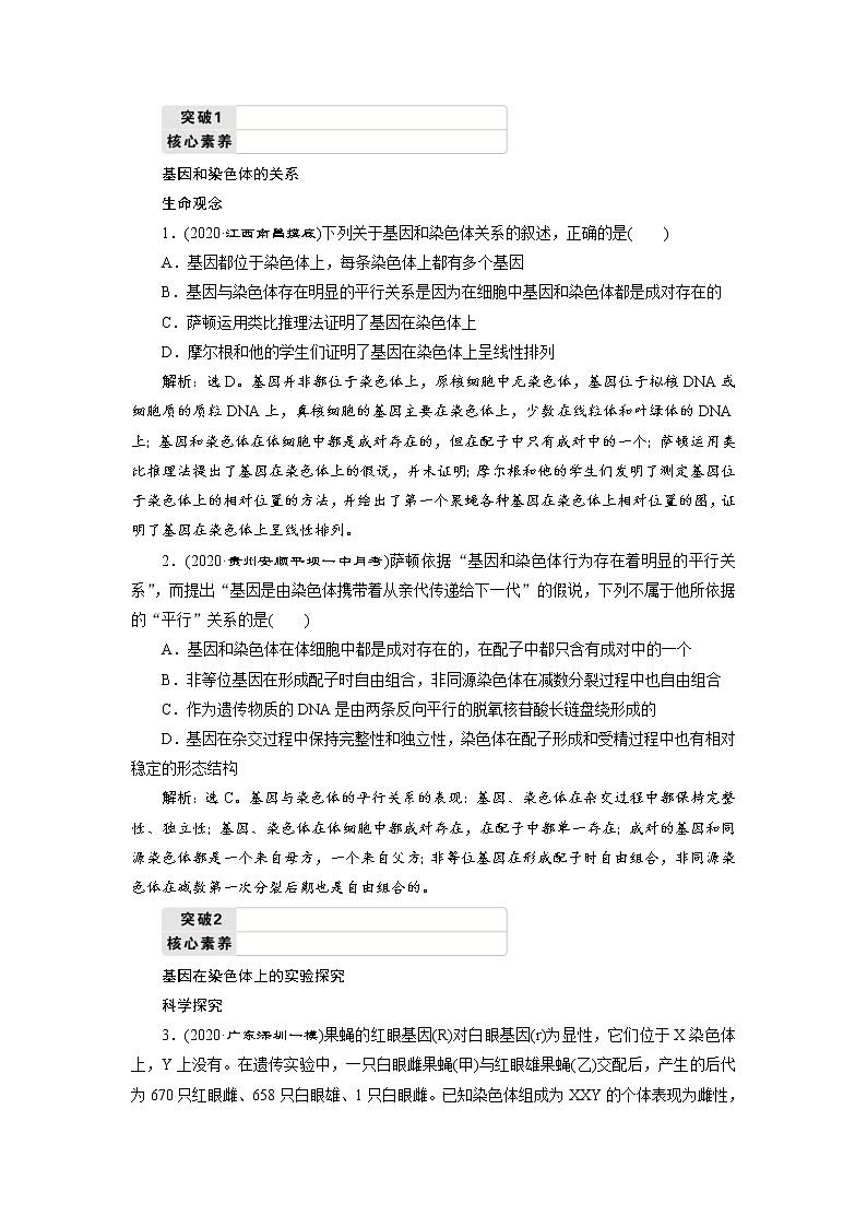 (新高考)高考生物一轮复习学案第15讲基因在染色体上伴性遗传 (含解析)03