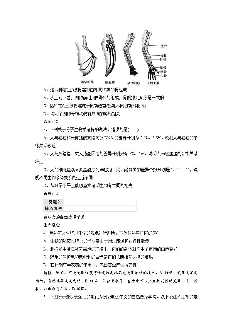 (新高考)高考生物一轮复习学案第22讲生物的进化(含解析)第3页