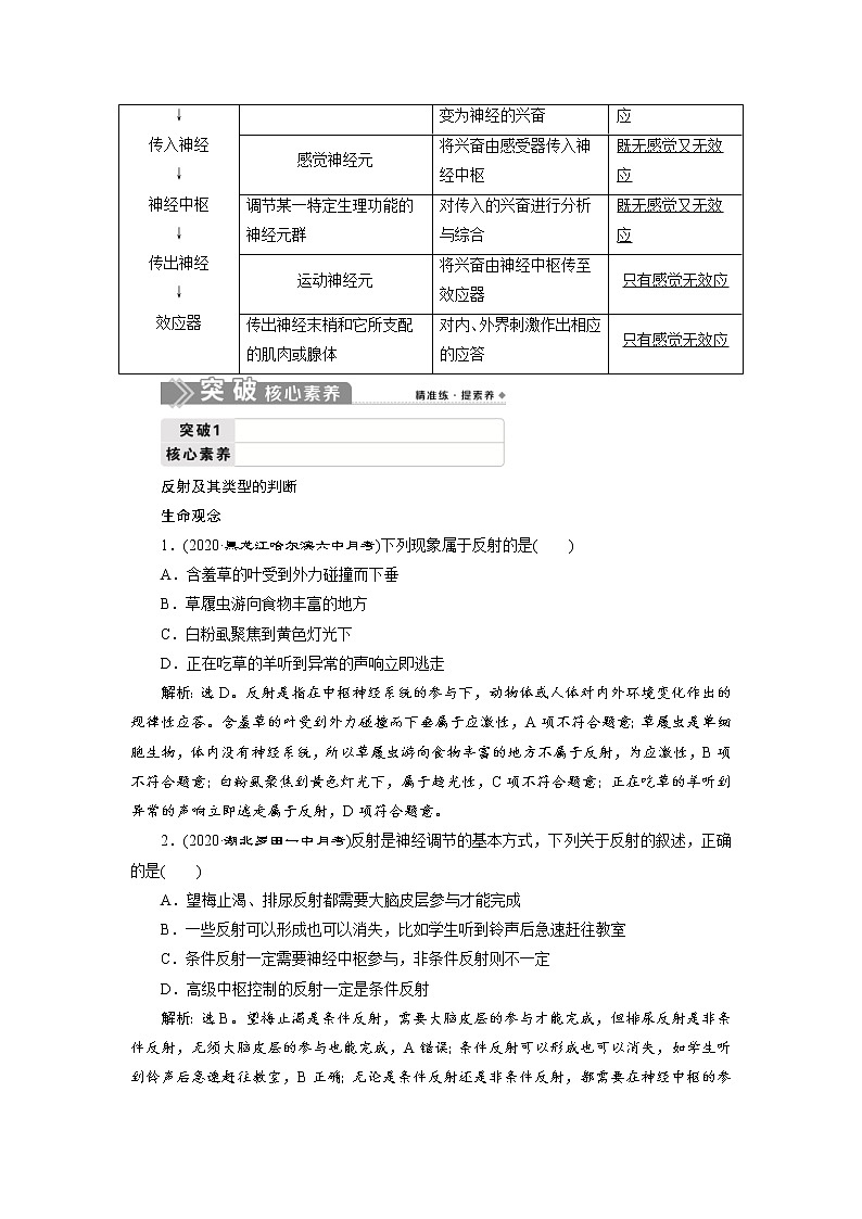 (新高考)高考生物一轮复习学案第24讲通过神经系统的调节(含解析)第2页