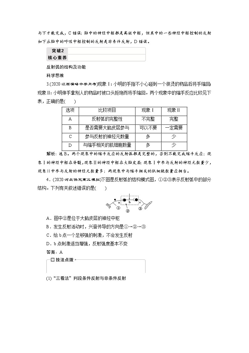 (新高考)高考生物一轮复习学案第24讲通过神经系统的调节(含解析)第3页