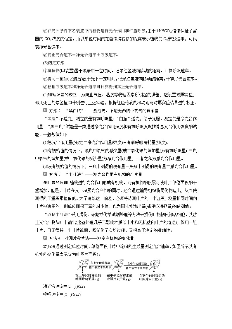 (新高考)高考生物一轮复习学案加强提升课(2)辨析“三率”及“三率”测定的5种实验模型(含解析)第3页