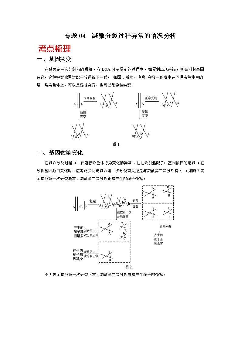 高考生物三轮冲刺核心考点透析专题04减数分裂过程异常的情况分析(原卷版)第1页