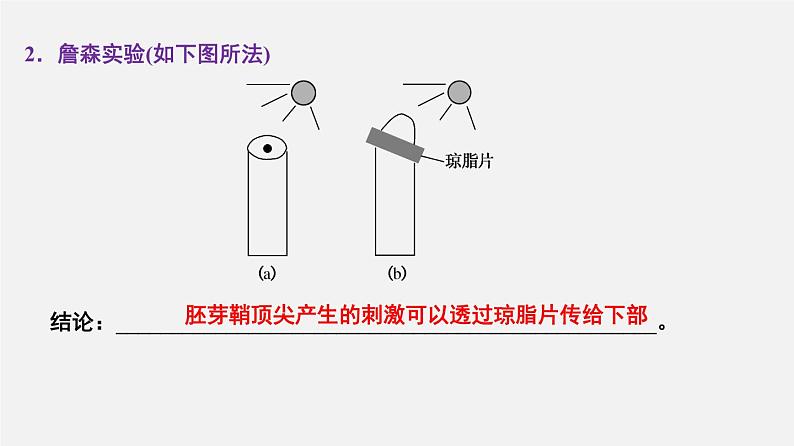 (人教版)高考生物二轮复习课件专题16 植物生物活动调节 (含解析)第7页