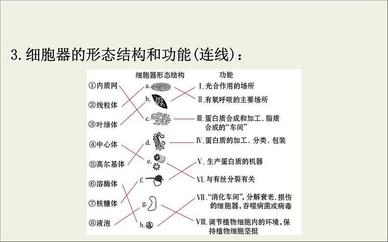 (通用版)高考生物一轮复习课件2.2细胞器和生物膜系统(含解析)第5页