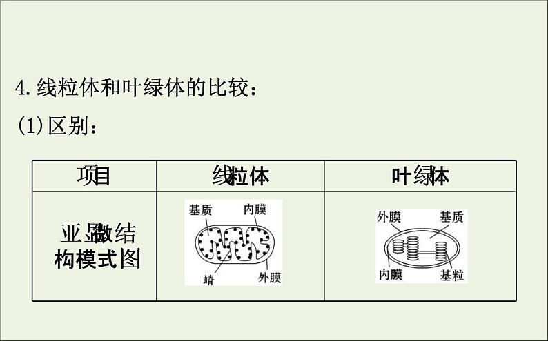 (通用版)高考生物一轮复习课件2.2细胞器和生物膜系统(含解析)第6页