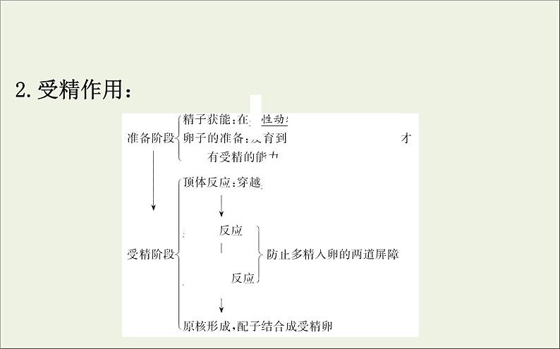 (通用版)高考生物一轮复习课件3.4胚胎工程与生物技术的安全性和伦理问题(含解析)第7页