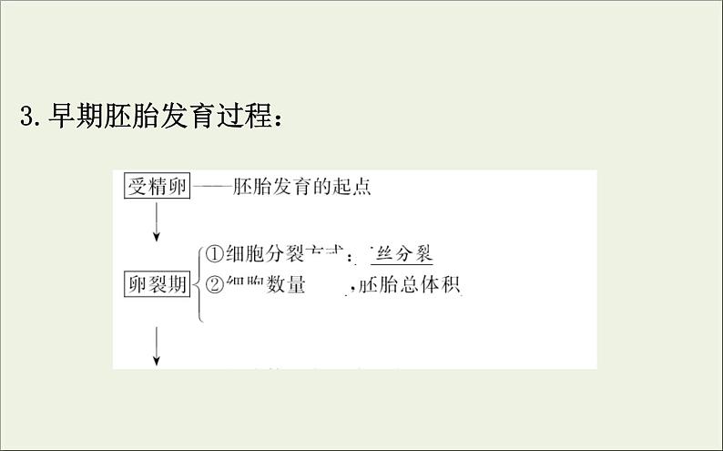 (通用版)高考生物一轮复习课件3.4胚胎工程与生物技术的安全性和伦理问题(含解析)第8页
