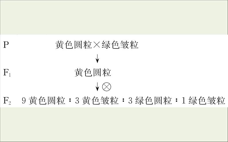 (通用版)高考生物一轮复习课件5.2孟德尔的豌豆杂交实验二(含解析)第5页