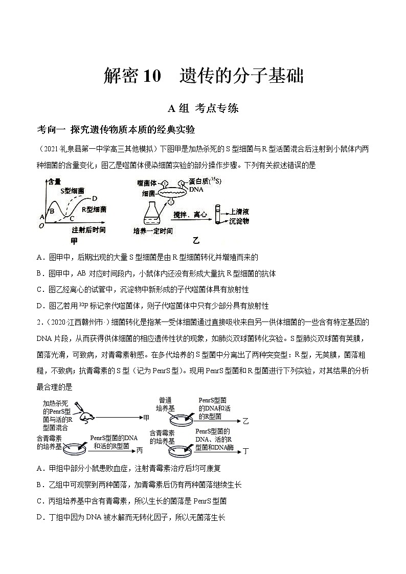 高考生物二轮复习分层训练解密10遗传的分子基础(原卷版)第1页