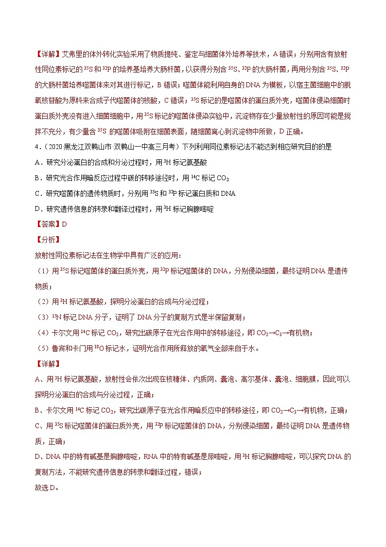 高考生物二轮复习分层训练解密10遗传的分子基础(解析版)第3页