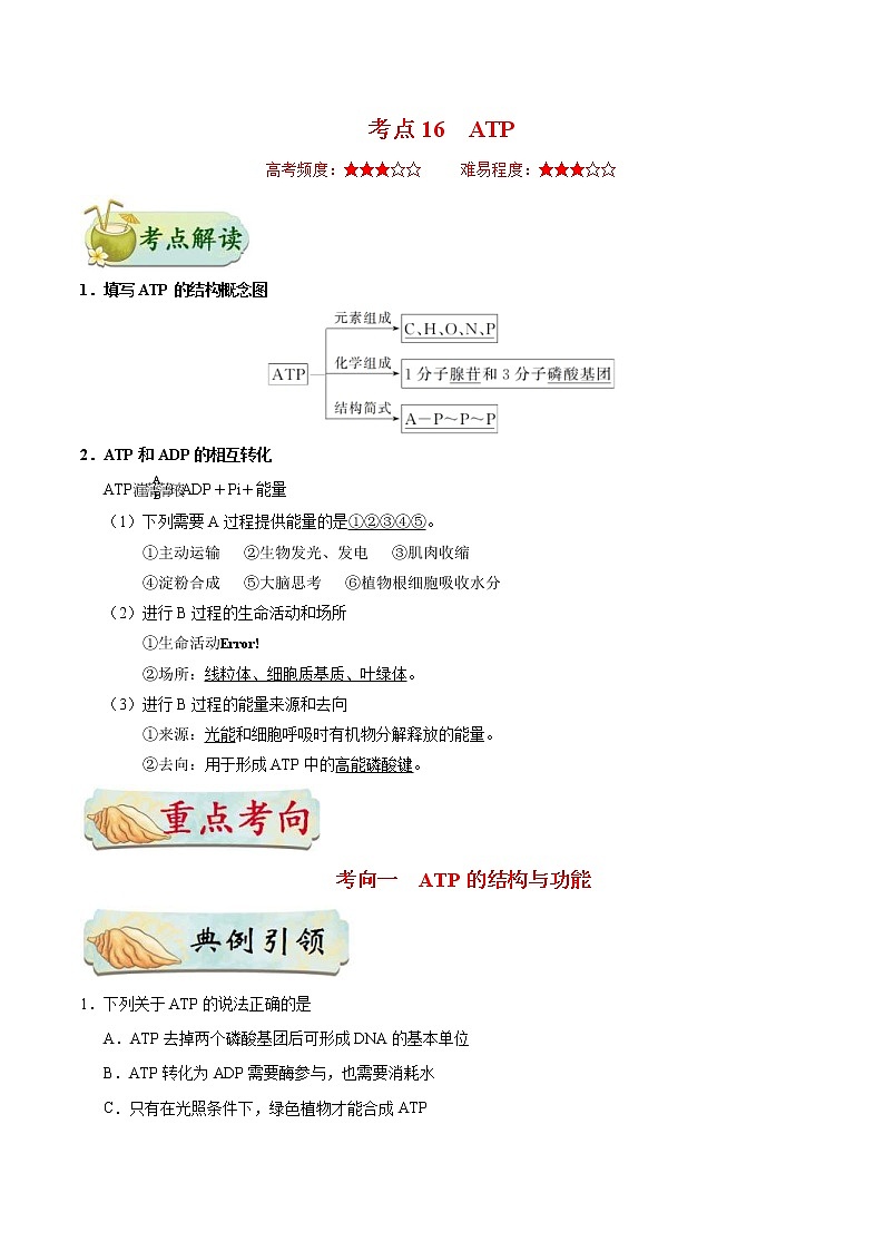 高考生物一輪復(fù)習(xí)考點(diǎn)一遍過考點(diǎn)16 ATP(含解析)第1頁