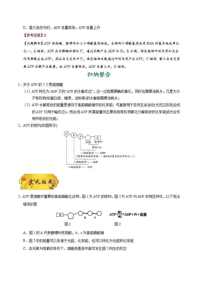 高考生物一輪復(fù)習(xí)考點(diǎn)一遍過考點(diǎn)16 ATP(含解析)第2頁