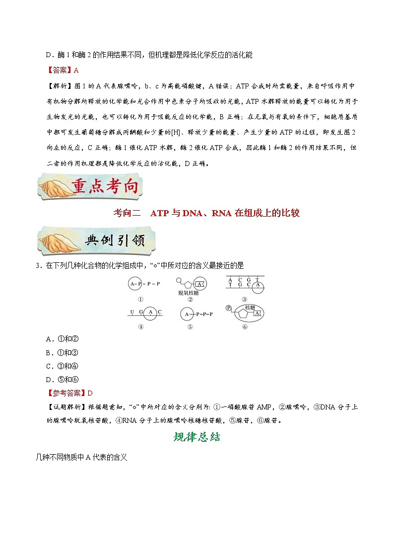高考生物一輪復(fù)習(xí)考點(diǎn)一遍過考點(diǎn)16 ATP(含解析)第3頁