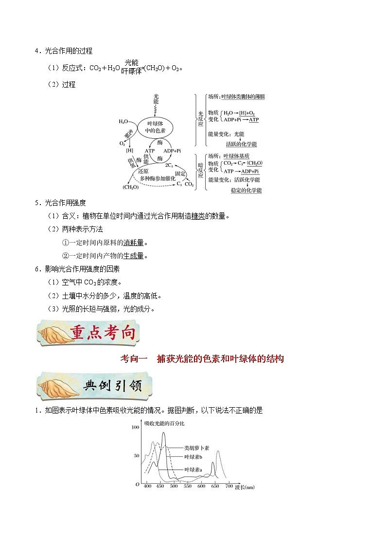 高考生物一轮复习考点一遍过考点19 光合作用(含解析)第2页