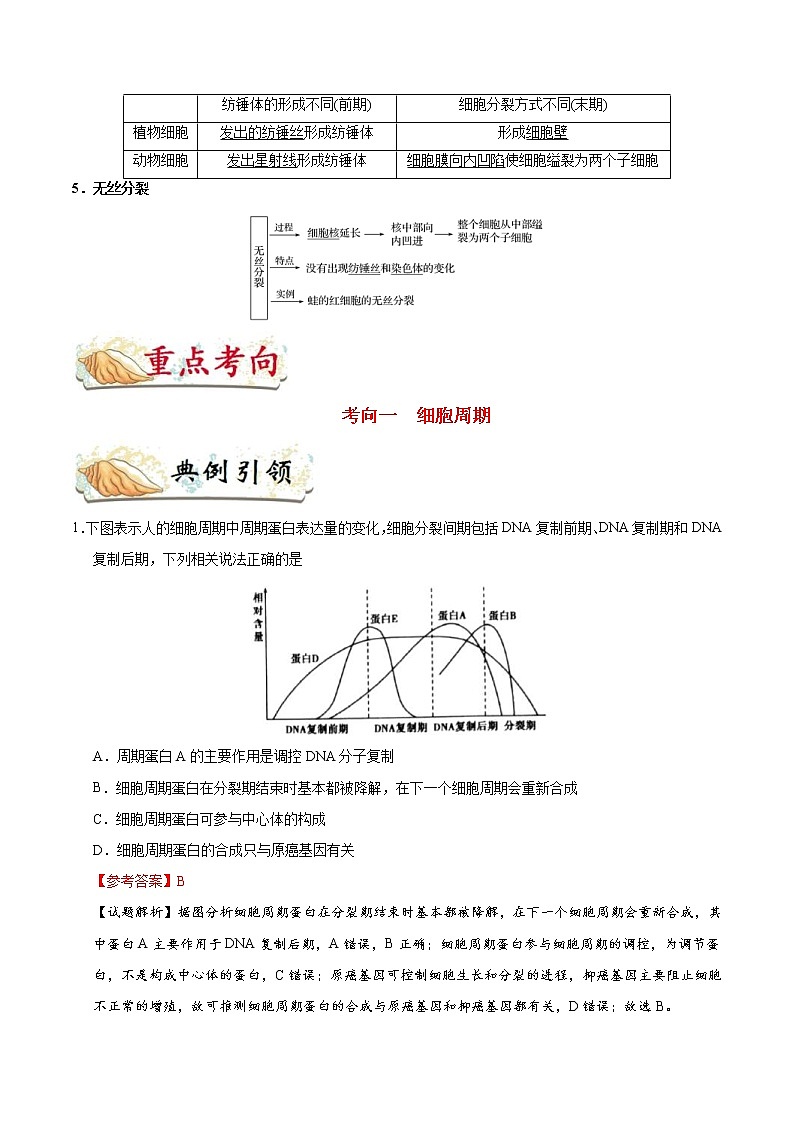 高考生物一轮复习考点一遍过考点21 细胞的增殖(含解析)第2页