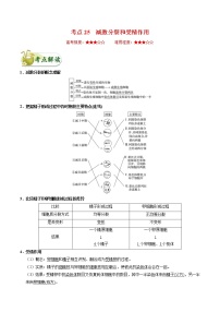 高考生物一轮复习考点一遍过考点25 减数分裂和受精作用(含解析)