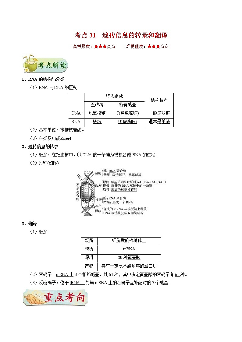 高考生物一轮复习考点一遍过考点31 遗传信息的转录和翻译(含解析)第1页