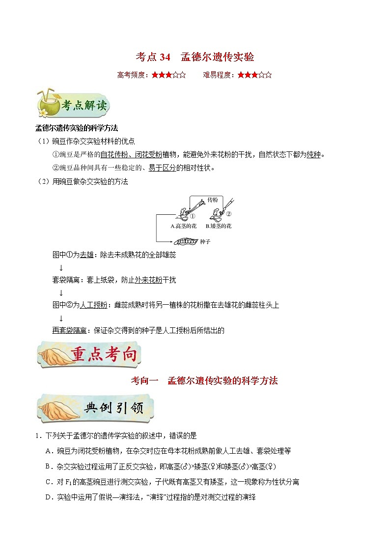 高考生物一轮复习考点一遍过考点34 孟德尔遗传实验(含解析) 试卷01