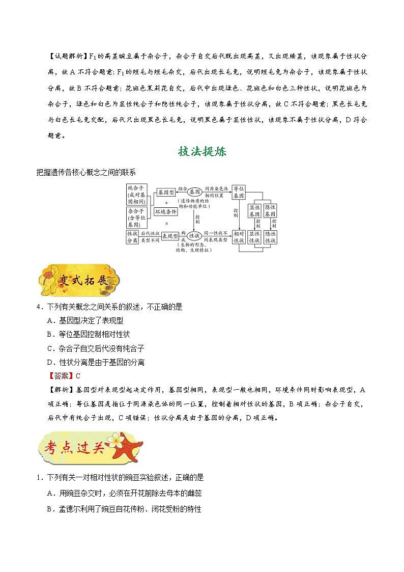高考生物一轮复习考点一遍过考点34 孟德尔遗传实验(含解析) 试卷03