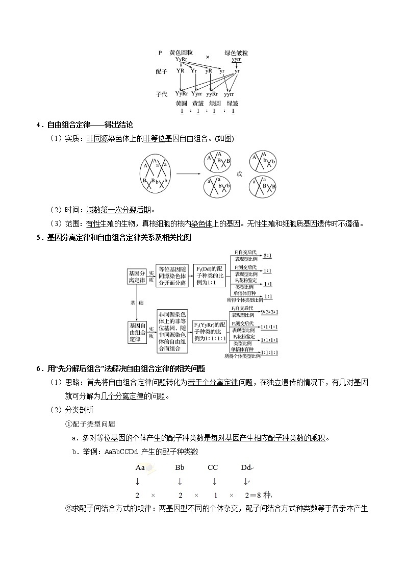 高考生物一轮复习考点一遍过考点36 基因的自由组合定律(含解析)第2页