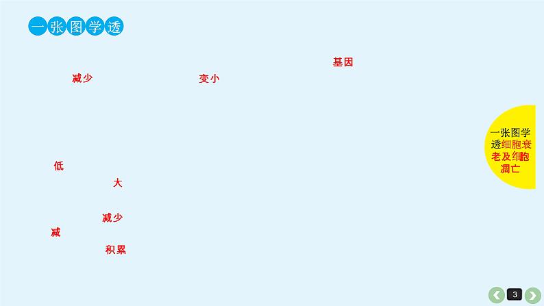 (通用版)高考生物一轮复习课件:第15课-细胞的分化、衰老、凋亡与癌变(含解析)第3页