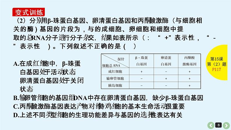 (通用版)高考生物一轮复习课件:第15课-细胞的分化、衰老、凋亡与癌变(含解析)第8页