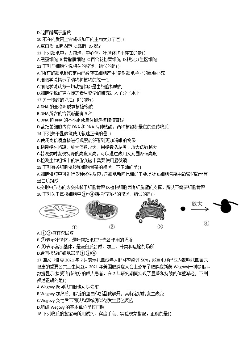 浙江省杭州六县九校联盟2022-2023学年高一生物上学期期中联考试题(Word版附答案)02
