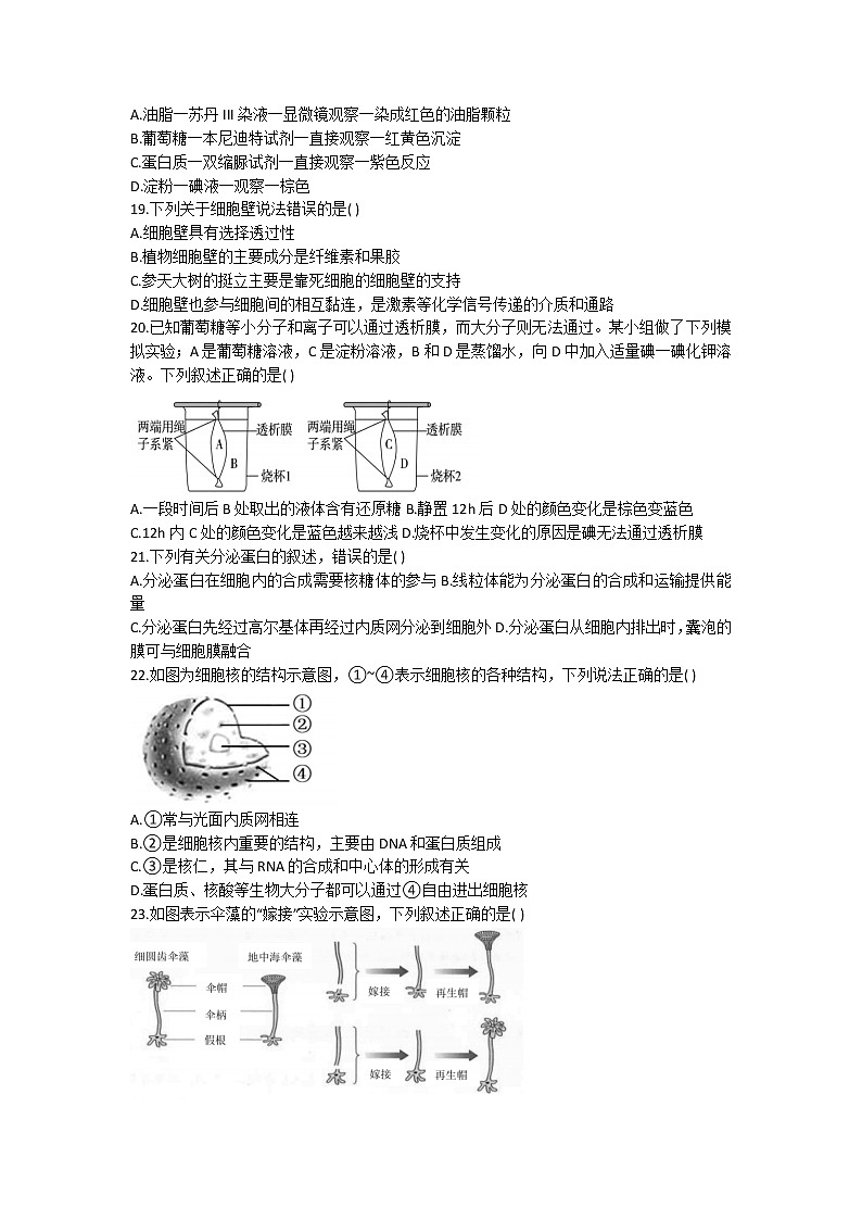 浙江省杭州六县九校联盟2022-2023学年高一生物上学期期中联考试题(Word版附答案)03